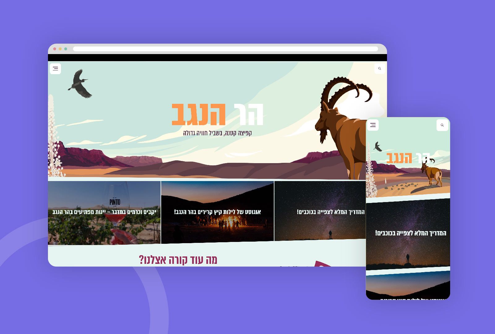 Negev Tour